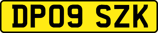 DP09SZK