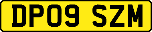 DP09SZM