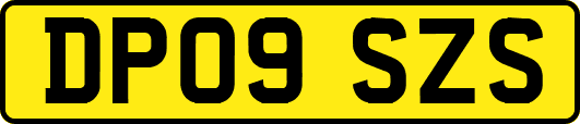 DP09SZS
