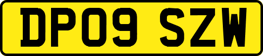 DP09SZW
