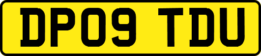 DP09TDU