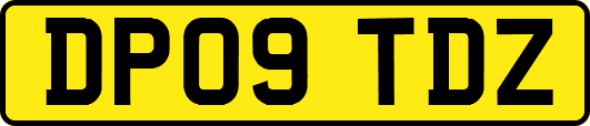 DP09TDZ