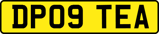 DP09TEA