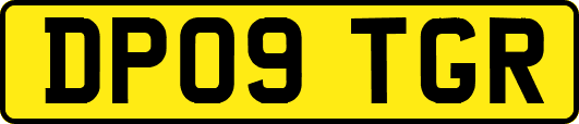 DP09TGR