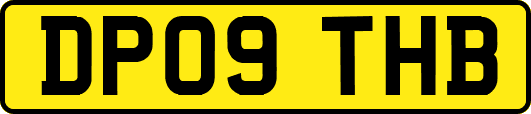 DP09THB
