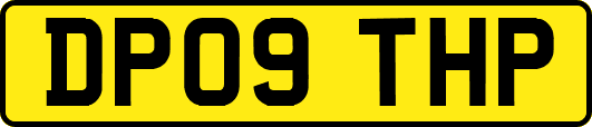 DP09THP