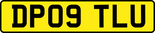 DP09TLU
