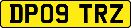 DP09TRZ