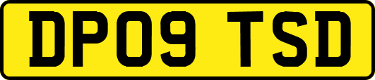 DP09TSD