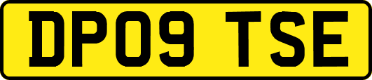 DP09TSE