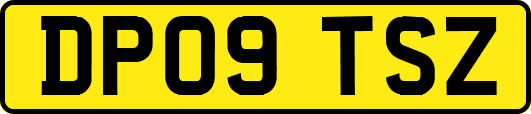DP09TSZ