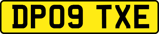 DP09TXE