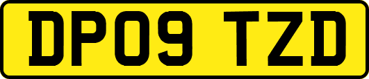 DP09TZD