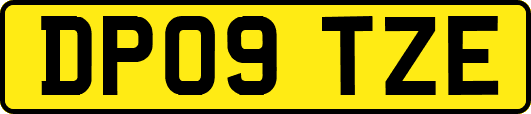 DP09TZE
