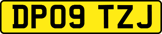 DP09TZJ