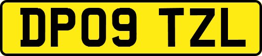 DP09TZL