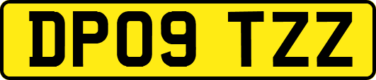 DP09TZZ