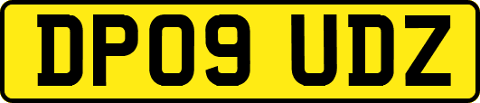 DP09UDZ