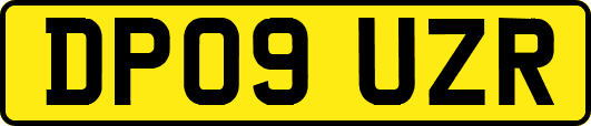 DP09UZR
