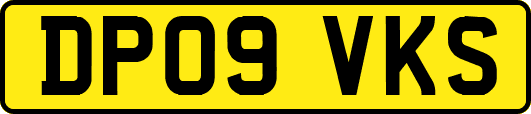 DP09VKS