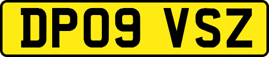 DP09VSZ