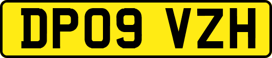 DP09VZH
