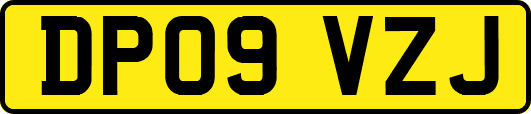 DP09VZJ