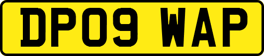 DP09WAP