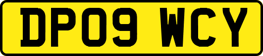 DP09WCY