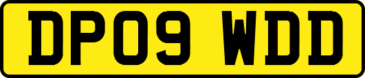 DP09WDD