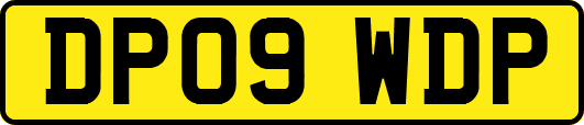 DP09WDP