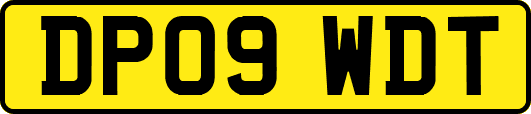 DP09WDT