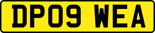 DP09WEA