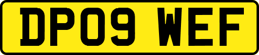 DP09WEF