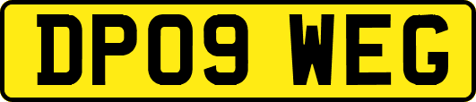 DP09WEG