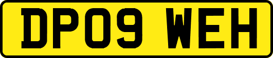 DP09WEH
