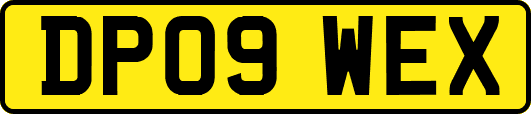 DP09WEX