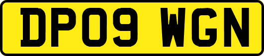 DP09WGN