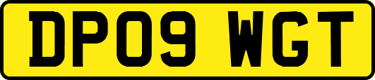 DP09WGT