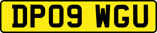 DP09WGU