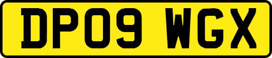 DP09WGX