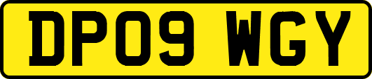 DP09WGY