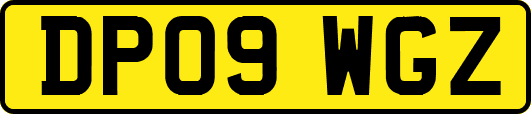 DP09WGZ