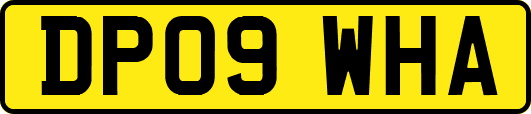 DP09WHA