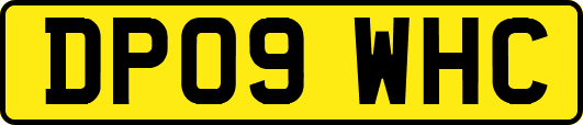 DP09WHC