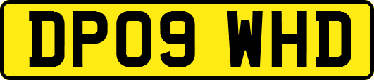 DP09WHD