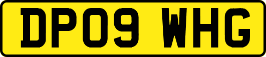 DP09WHG