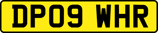 DP09WHR