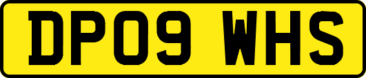 DP09WHS