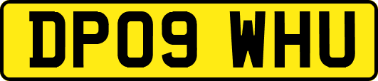 DP09WHU